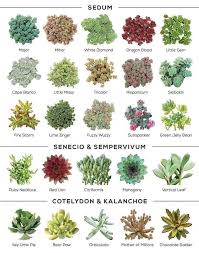 Pin On Garden Obsession