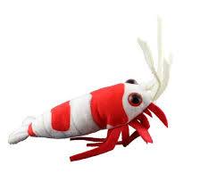 Red Bee Shrimp plush toyの画像