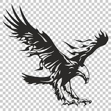 Black And White Hawk Eagle Facts Eagle Hawk Bird Png Image With Transparent Background Motorcycle Illustration Silhouette Art Illustration