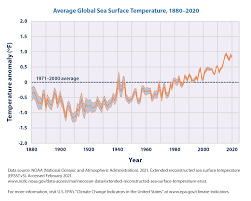 100-Degree Bay Temperatures Near The Florida Keys. A New World Record? |  Wfla