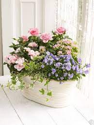 Also keep in mind that a well planned window flower box has a combination of height and width so choose your plants carefully. Artificial Flowers For Window Boxes Ireland