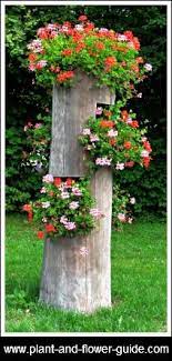 Flowers for the sick and dead. 87 Arrangement Ideas Beautiful Flowers Flowers Beautiful Roses