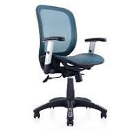 ErgoMax Fully Meshed Ergonomic Height Adjustable Office Chair w/Armrests,  42 Inch Max Height (Blue)