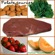 Folate Is A B Vitamin Which Helps To Form New Tissues Protein And Can Help Prevent Birth Defects In Pregnant Women The Highest Food Source For Folate Is Fou