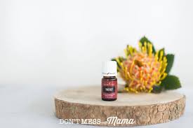 10 Uses For Thieves Essential Oil Don T Mess With Mama