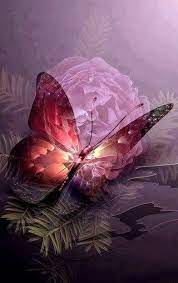 Biglietto auguri con fiori farfalle colorate e testo 4 soggetti ass. Pin Di Paoletta Pb Su Fabiola S Planet Two Auguri Di Compleanno Immagini Divertenti Immagini