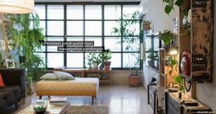 Klik disini melihat didalam rumah habib rizieq syihab : Kediaman Nampak Segar Bernafas Ini Manfaat Tanaman Hijau Jika Dijadikan Hiasan Dalam Rumah Anda Nona