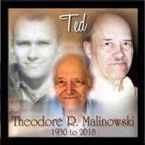 Theodore R. Malinowski Obituary