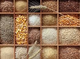 We did not find results for: Course Pengetahuan Bahan Pangan For Pditt 2016