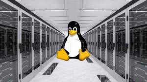 How to Secure Your Linux Server: A Detailed Guide