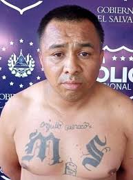 Informativo Santaneco sv