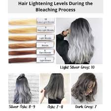 Check spelling or type a new query. Ash Gray Hair Color Dye With Oxidant 3 21 Bob Keratin Permanent Lazada Ph
