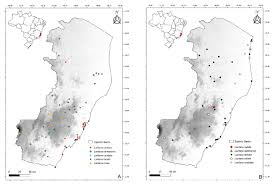 Image result for Lantana tiliifolia