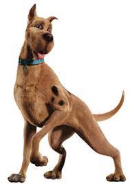 Scooby Doo Transparent By Camo Flauge Scooby Doo Movie Scooby Doo Dog Scooby Doo Mystery Incorporated