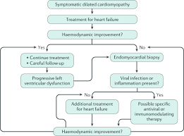 History of preceding viral illness. Dilated Cardiomyopathy Nature Reviews Disease Primers