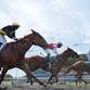 Virgin Bet Easter Bank Holiday Raceday event image