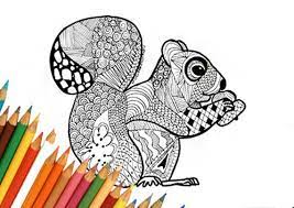 Ecureuil A Colorier Page Dessin Coloriage Page Imprimable Etsy