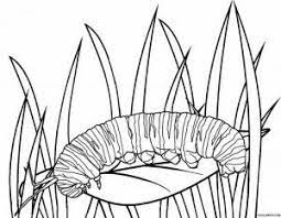 Over the past 40 years raising monarch butterflies, i've tried many different cages to help guide them along from tiny monarch egg to mighty black death is an infection that kills monarch butterflies and causes them to lose their iconic color. Monarch Caterpillar Coloring Pages Animal Coloring Pages Butterfly Coloring Page Farm Animal Coloring Pages
