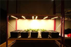 Traditional light bulbs require frequent replacement, consume more energy and let off more heat. Vertical Farming Led Grow System With Led Grow Lights And Rack China Led Grow Light Grow Lights Made In China Com