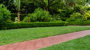 Schedule a pest inspection for bug, roach, flea, bed bug, & termite control. Shrub Management