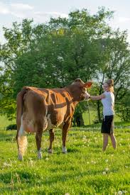 Pin On Cowd
