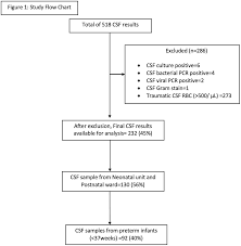 Image result for CSF Culture