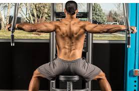 Rear delt fly muscles worked. 7 Rear Delt Raise Variations For Maximum Growth
