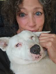 Why does this dog become calm when held like a baby?