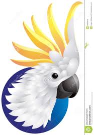 Coffee machines & beverage coffee machines coffee grinders juicers water filter & urns. Bird Art Cockatoo Pink Cockatoo