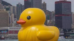 Stornieren sie bequem bis zu 24 stunden vor ihrem event. Riesen Ente Schwimmt Im Hafen Von Hongkong Welt