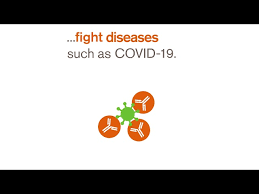 The gsk collaboration follows bayer's announcement that it will produce 160 million doses of curevac's cvncov in 2022. Our Response To Covid 19 Gsk