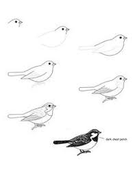 Great Tips On How To Draw A Bird Character Design References Https Www Facebook Com Characterdesignreference Bird Drawings Animal Drawings Drawings