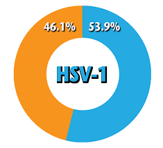 A primary infection with hsv is often. Http Publichealth Lacounty Gov Dhsp You Herpes Testing Toolkit 2016 Pdf