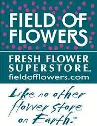 Field of flowers, located in boca raton, florida, is at glades road 8177. Field Of Flowers Boca Raton Boca Raton Fl Wedding Flowers