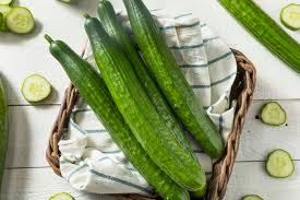 Image result for Cucumis engleri
