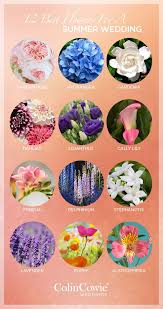 Maybe you would like to learn more about one of these? 12 Best Flowers For A Summer Wedding Wedding Flowers Summer Pink Wedding Flowers June Wedding Flowers