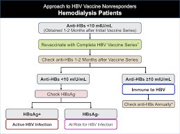 Infants should get their first dose of hepatitis b vaccine at birth and will usually complete the series at 6 months of age (sometimes it will take longer than 6 months to complete the series). Core Concepts Hbv Immunizations Prevention Of Hbv Hepatitis B Online