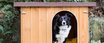Einstieg mit selbstgebautem gewächshaus vorbereitung material aufbau anleitung & tipps in unseren ratgeber. Diy Projekt Fur Hundebesitzer 2 Bauanleitungen Fur Hundehutten Und Wurfboxen Heimwerker De