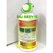 Setelah serangga hinggap di tepi lubang kantong semar, maka serangga tersebut akan tergelincir dan terperangkap di dalam kantong tumbuhan ini. Racun Serangga Pyriban 505 1l Shopee Malaysia