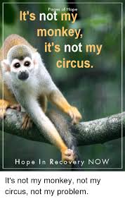 It S Not My Es Monkey It S Not My Circus Hope I N R E O Very Now It S Not My Monkey Not My Circus Not My Problem Meme On Me Me