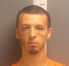 2 Lake Park brothers accused of assaulting father