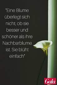 Maybe you would like to learn more about one of these? Pinterest Zitate Kleine Lebensweisheiten Und Spruche Gala De