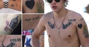 After swooning over his outfit — complete with a feather boa — at the 2021 grammys, you probably noticed his signature chest ink.although he has more. Harry Styles Tattoos Mapping One Direction Star S Body Art Huffpost Uk