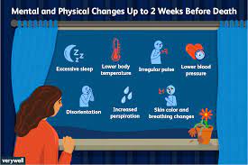 When perching you'll notice a long tapered tail. How To Recognize When Your Loved One Is Dying