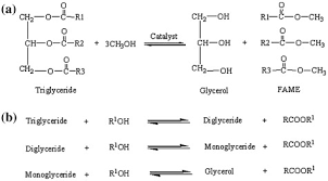 The method being described here is for making fames biodiesel. Transesterification An Overview Sciencedirect Topics