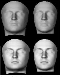 Have you ever heard of the hollow face illusion? Figure 5 From The Hollow Face Illusion Object Specific Knowledge General Assumptions Or Properties Of The Stimulus Semantic Scholar