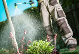 It began losing market share to other competitors, and the growing awareness of the potential for damage from toxic lawn care chemicals further degraded the firm's image. The Worst Chemical On Your Lawn Isn T Roundup