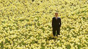 The flowers have been blooming in the hills above the pacific ocean for an epic photo of the flower field with the wind mill and the pacific ocean in the background, it's surprising that you can take such photo on amanda. The Most Iconic Flowers In Film Gardening Tips With J Parker S