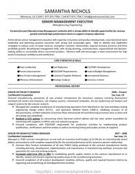 construction project manager resume