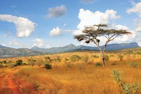 Kenya, officially the republic of kenya (swahili: Kenya History Map Flag Climate Capital Facts Britannica